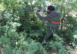 Biemme Hunting: pantaloni da caccia Ultra Bosco Cacciatore nel bosco