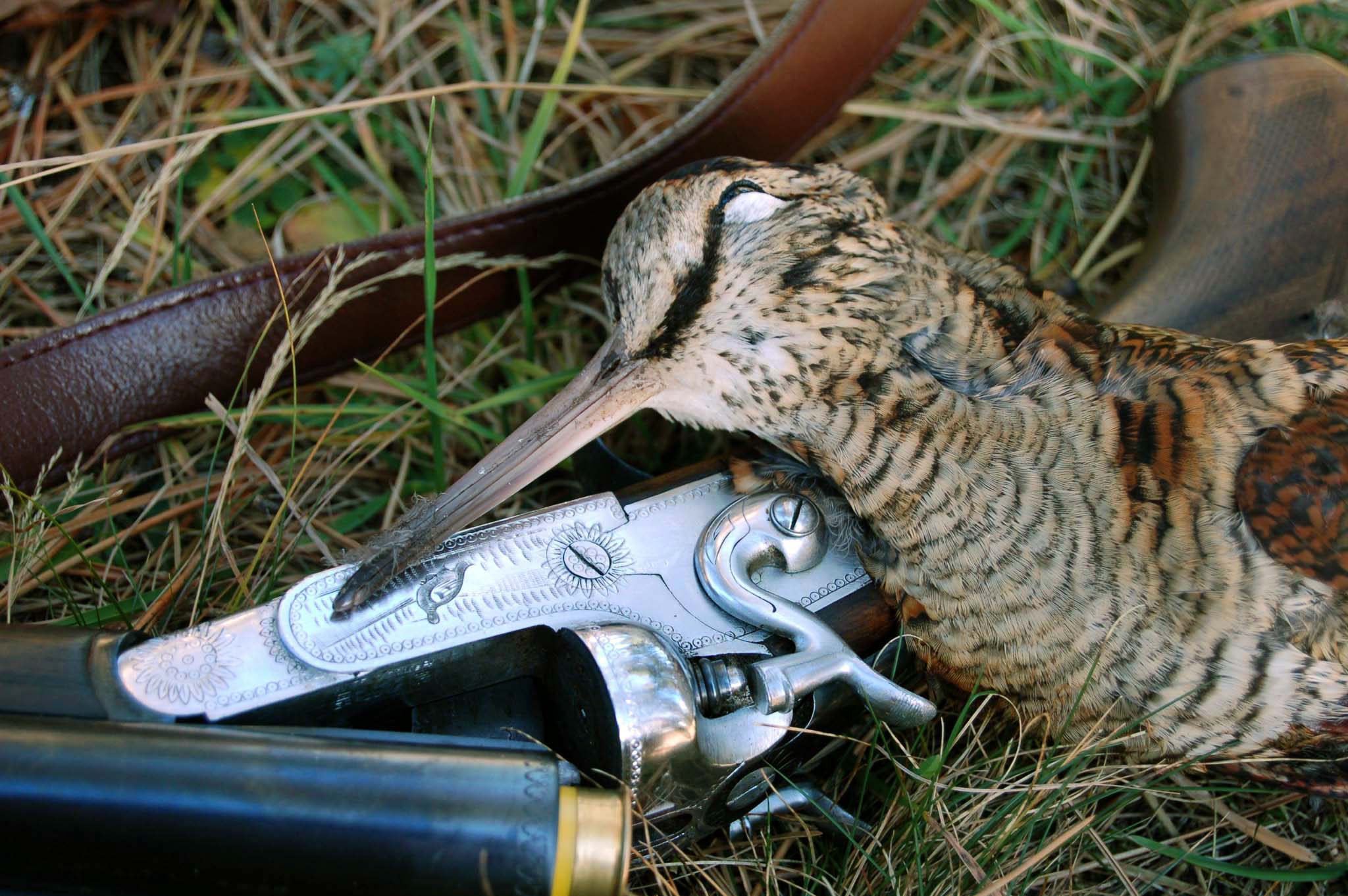 abbigliamento-da-caccia: La Quinta Regina... Ovvero vestivamo alla beccacciara