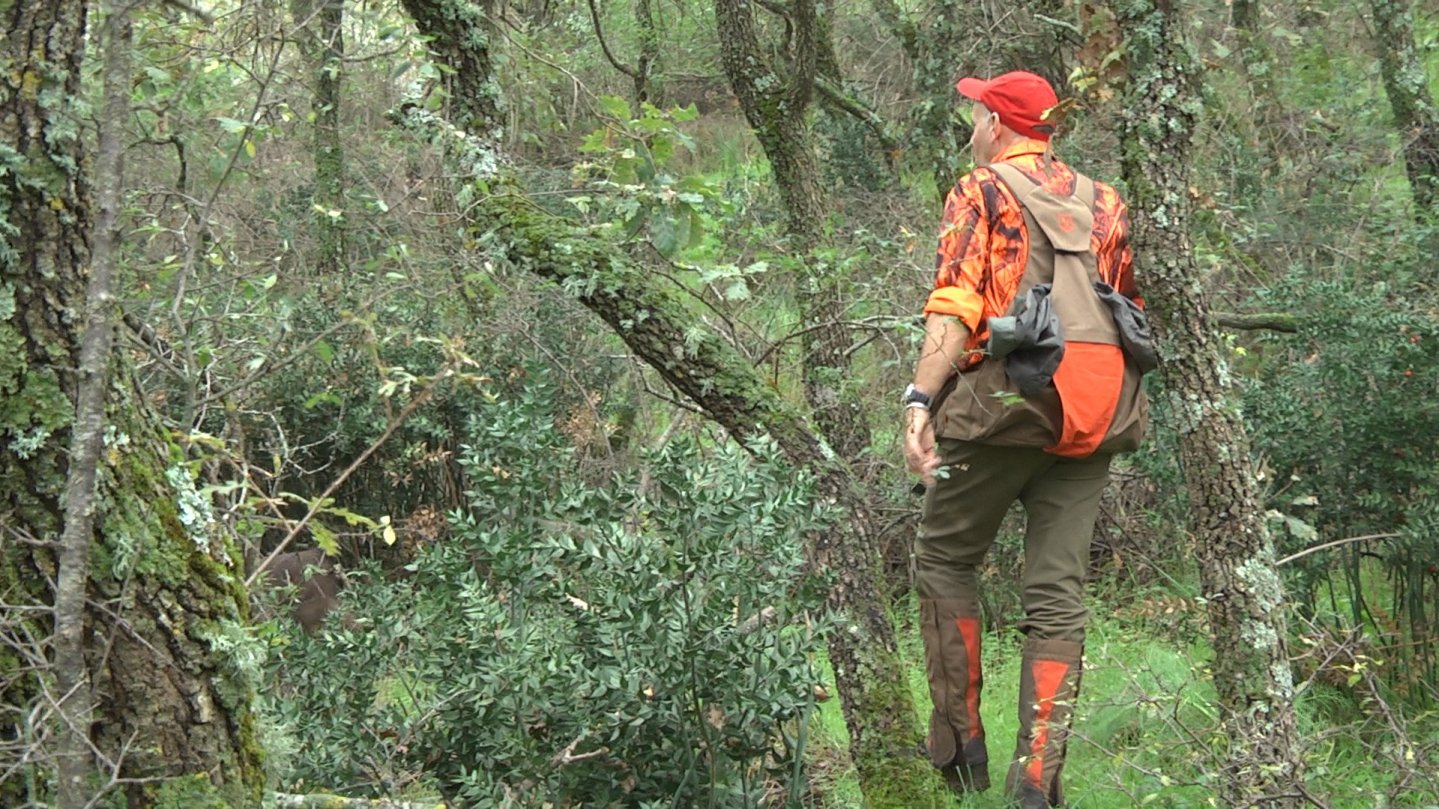 Video: lo scarpone da beccacce test a caccia nel bosco scarponi da caccia
