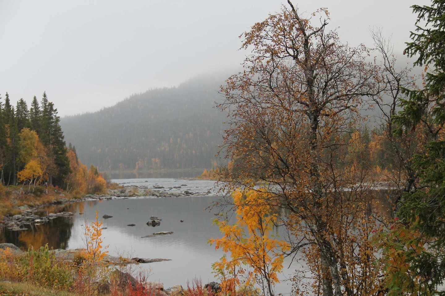 Trabaldo Genesis: il nuovo completo per la caccia in montagna Paesaggio invernale