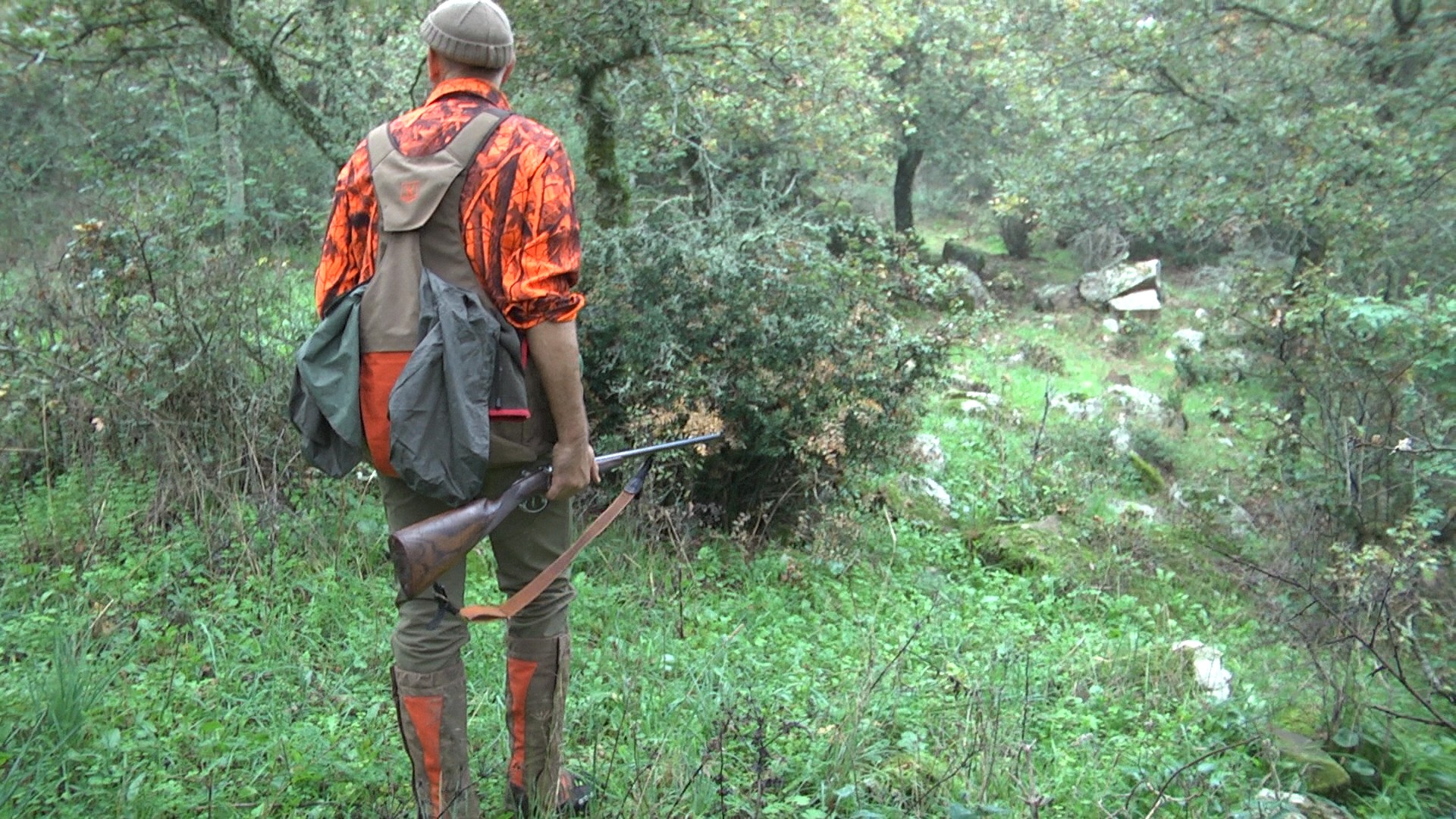 caccia-alle-beccacce: Video: caccia alle beccacce con abbigliamento tecnico Riserva