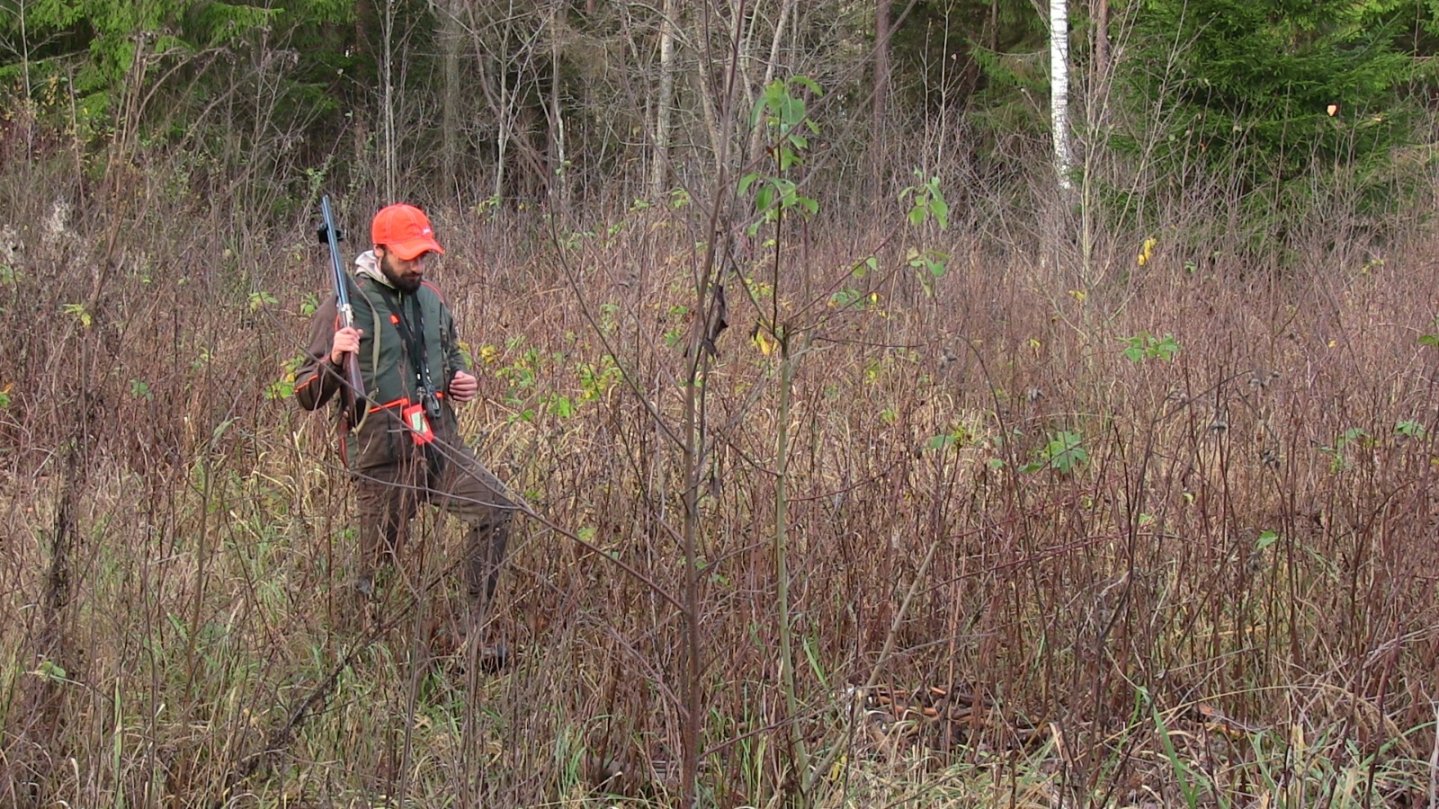 Caccia in Lituania Zamberlan-01.JPG