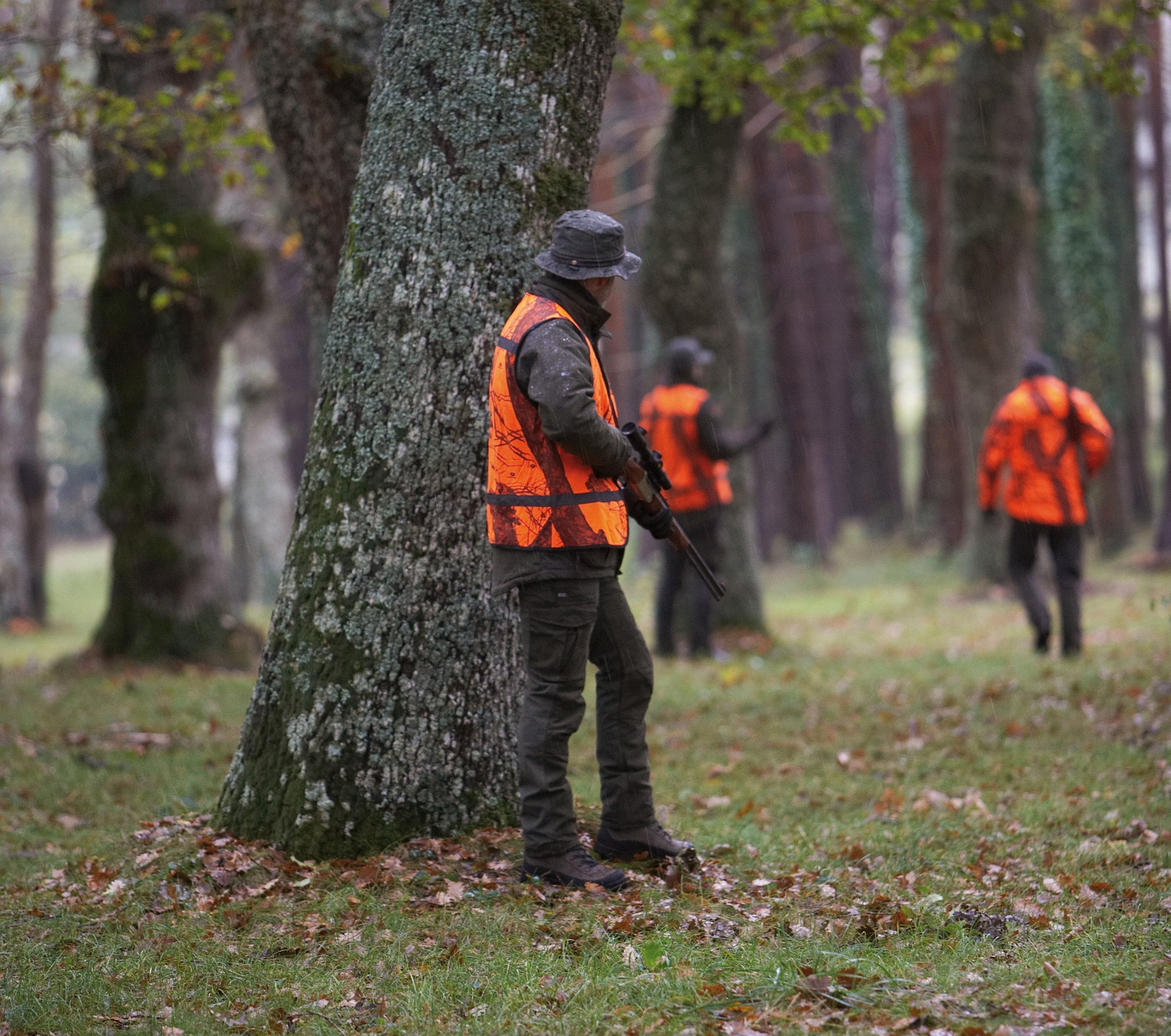 calendari-venatori: Calendario Venatorio 2014/2015: Regione Emilia Romagna