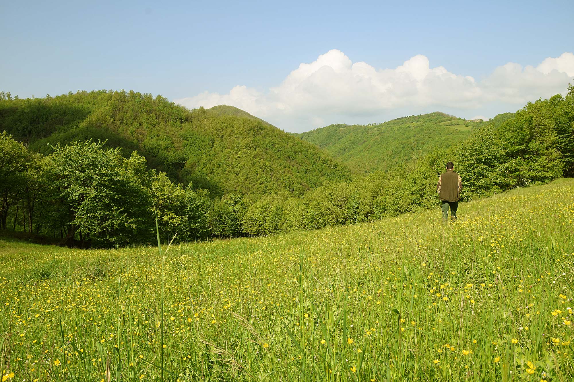 calendari-venatori: Calendario Venatorio 2015/2016: Regione Calabria