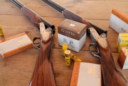 Fausti Dea SL Drive Edition Fausti Dea SL Drive Edition