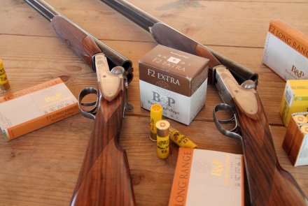 Fausti Dea SL Drive Edition Fausti Dea SL Drive Edition