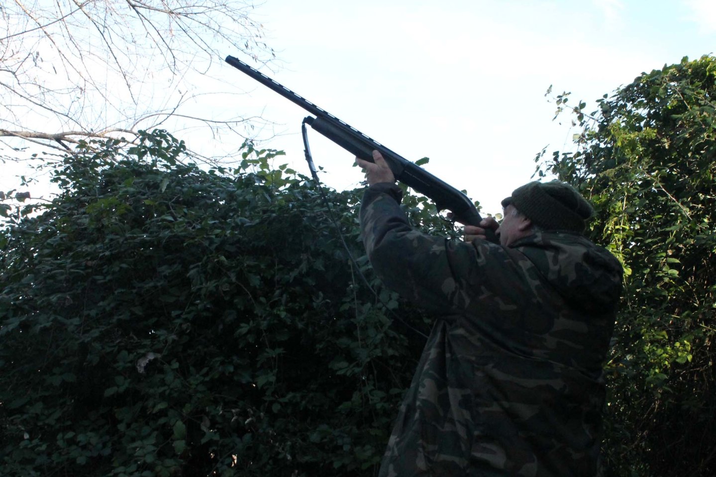 Calendario venatorio 2015-2016 Puglia Calendario venatorio 2015-2016 Puglia