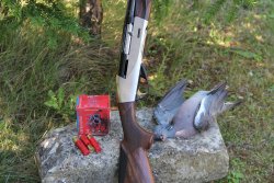 A caccia con Benelli Ethos 28 magnum Fucile Benelli Ethos 28 con cartucce Baschieri & Pellagri Extra Rossa