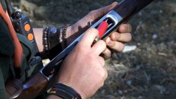 A caccia con Benelli Ethos 28 magnum Finestra caricamento del Benelli Ethos 28