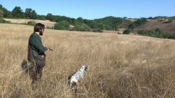 A caccia con Benelli Ethos 28 magnum Cacciatore con cane in ferma