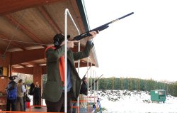 Browning A5 Browning A5