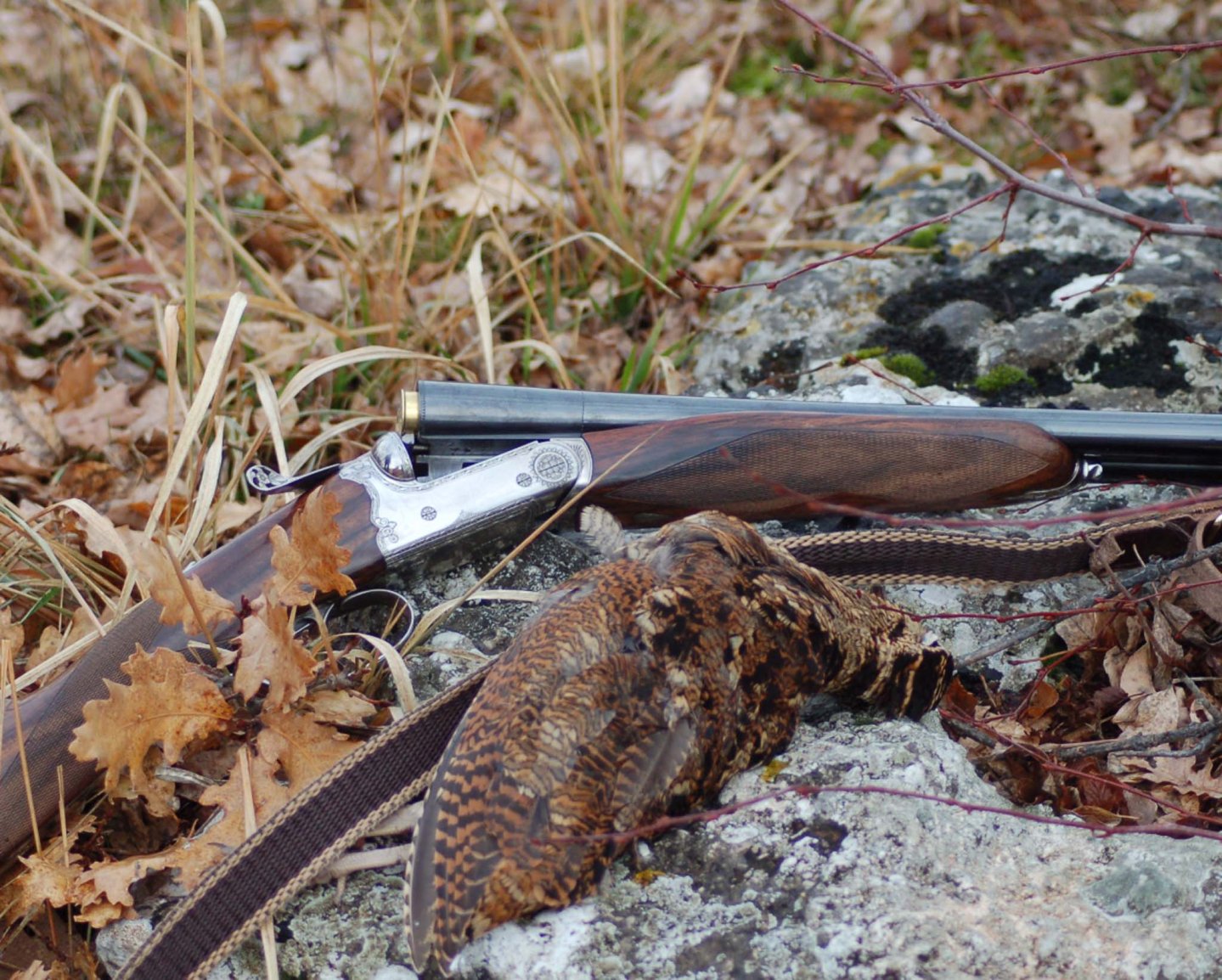 Doppietta Poli Lapis e beccaccia