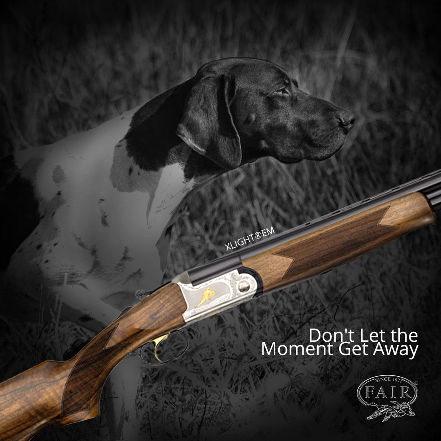 fucile FAIR in primo piano con cane sullo sfondo