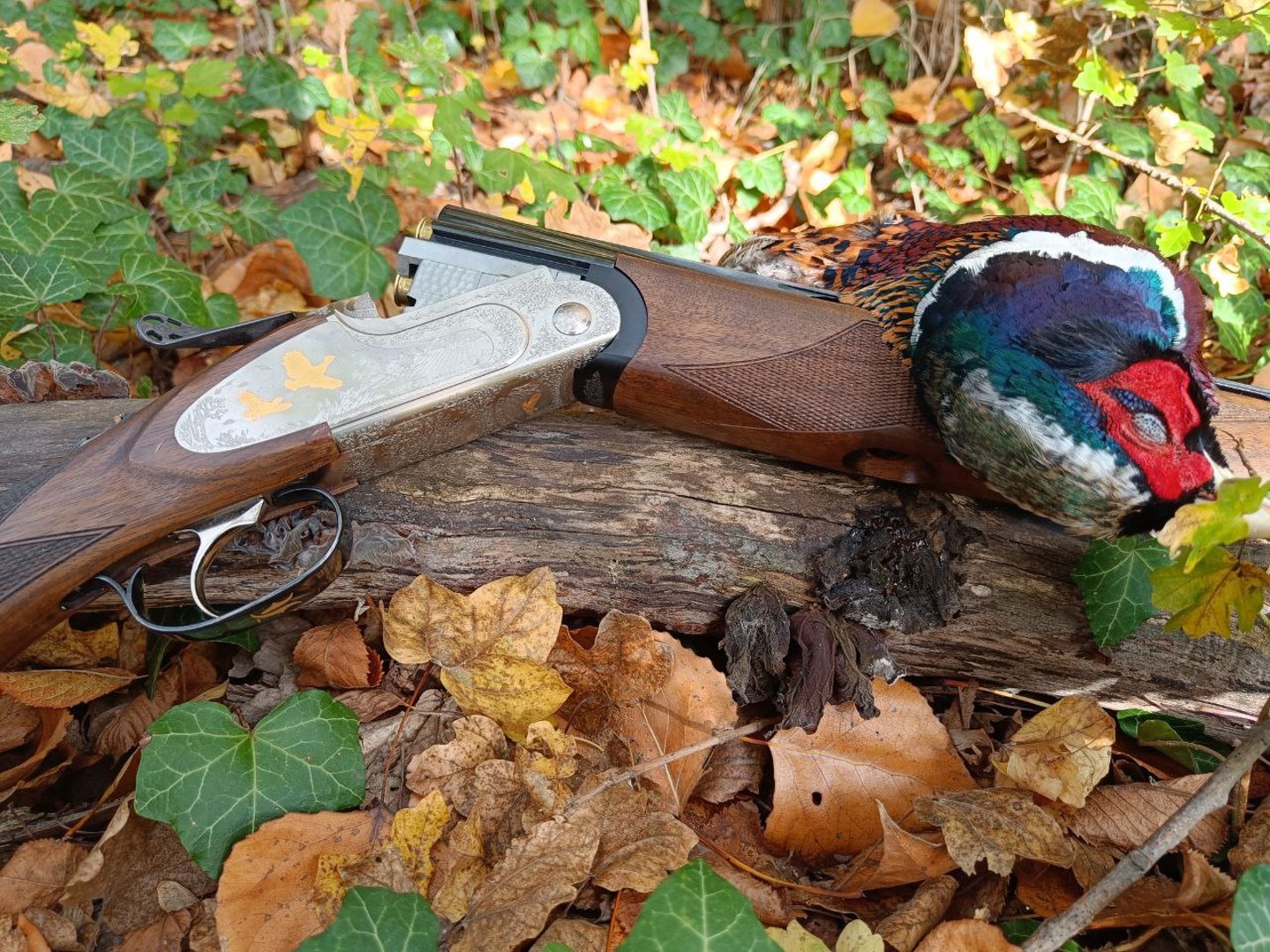 Sovrapposto Fausti Class SLX .410