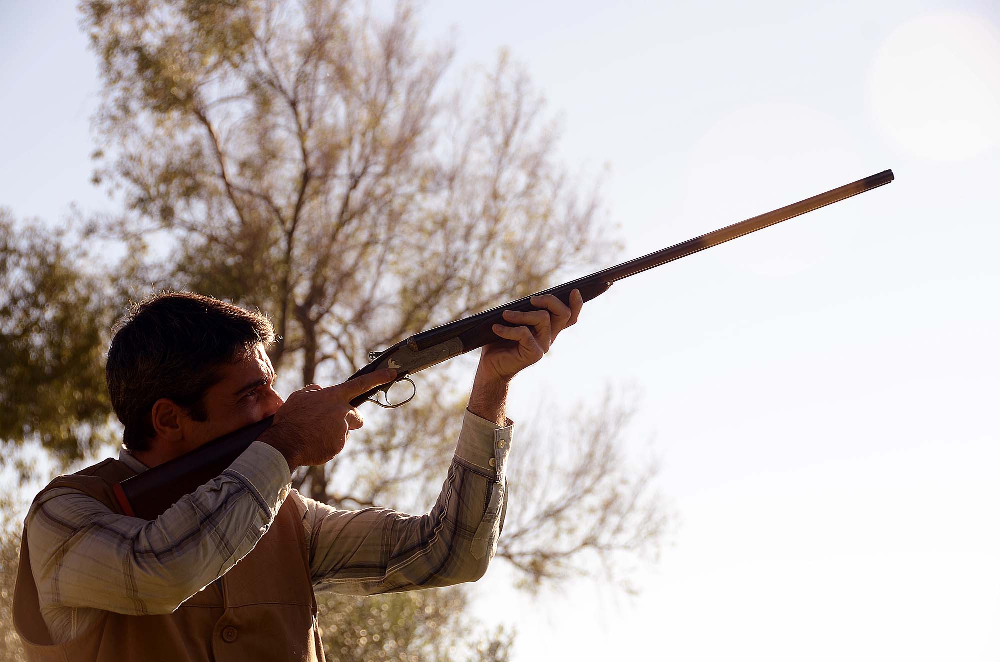 fausti-stefano-arms: Fausti DEA 28