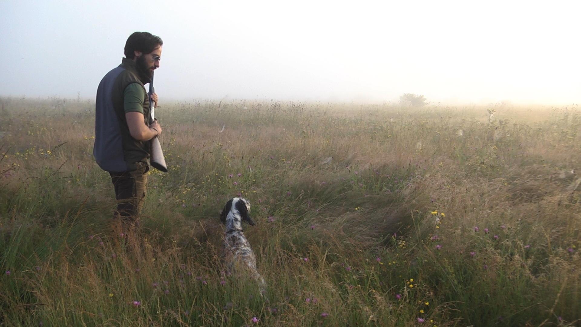 fausti-stefano-arms: Caccia alle quaglie con Fausti Dea Luxury calibro 28