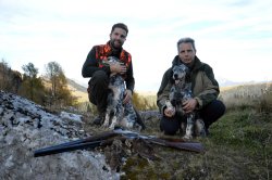 Caccia alla beccaccia con Fausti Dea SL e Fausti Class SL dedicati alla regina Cacciatori con cani, fucili Fausti e beccacce