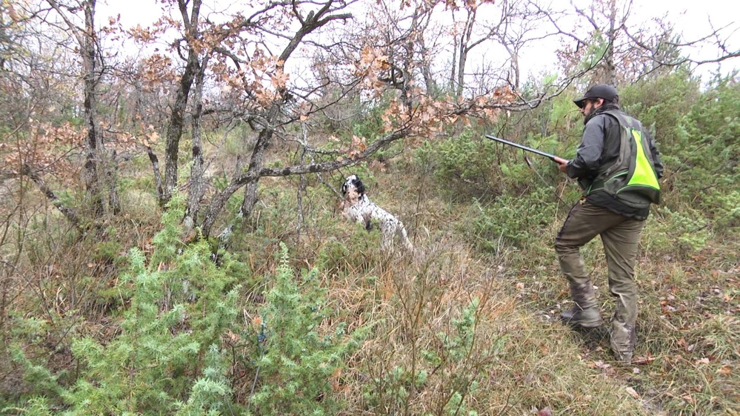 A caccia con la doppietta Poli Lapis calibro 28 Cacciatore con cane