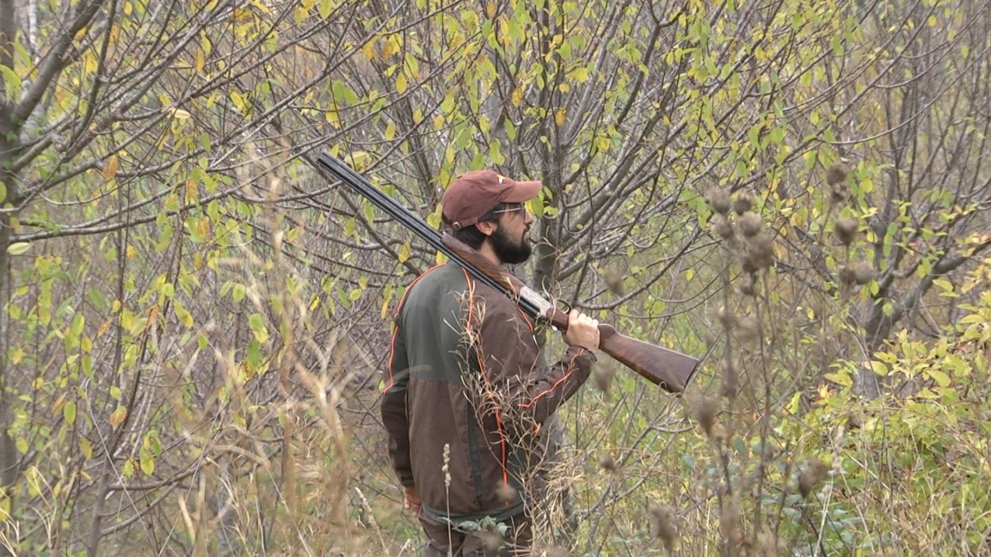 Sovrapposto Caesar Guerini Ellipse Curve Gold calibro 20 Sovrapposto Caesar Guerini Ellipse Curve Gold calibro 20 a caccia