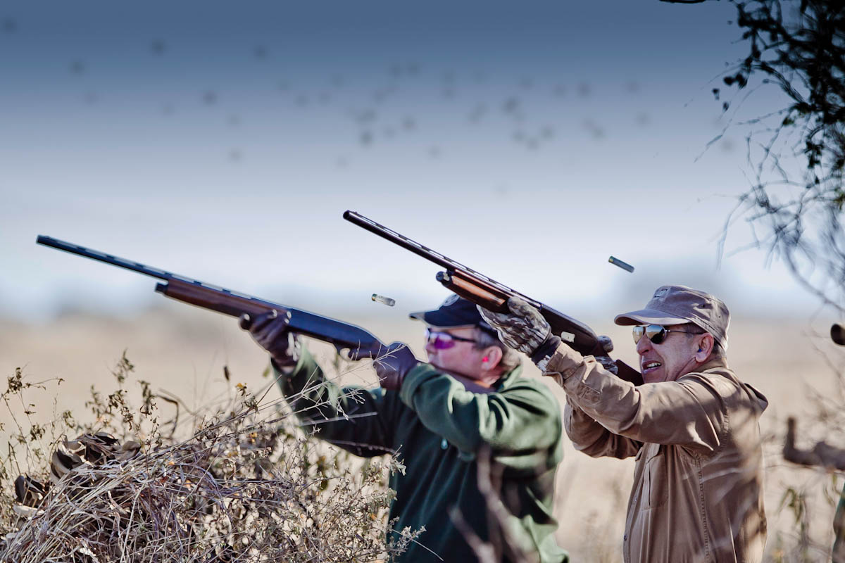 weatherby: Weatherby SA-08 "Deluxe" calibro 28 weatherby: Weatherby SA-08 "Deluxe" calibro 28
