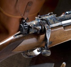Carabina D.B.G. Classic .416 Rigby Sicura della carabina D.B.G. Classic