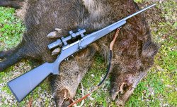 Rössler Titan 16 All Round, l’affidabile alternativa Rössler Titan 16 con cinghiale