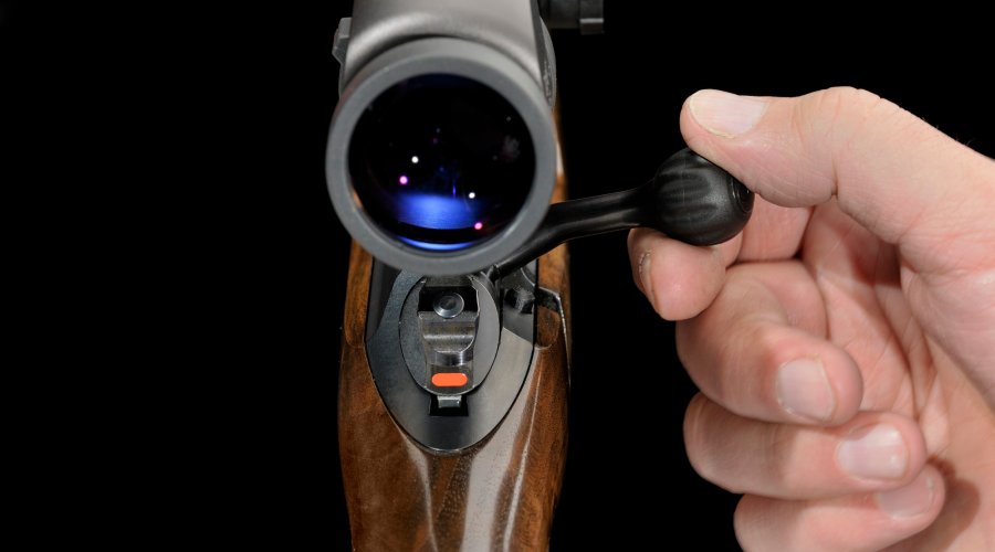 Sauer 101 Forest