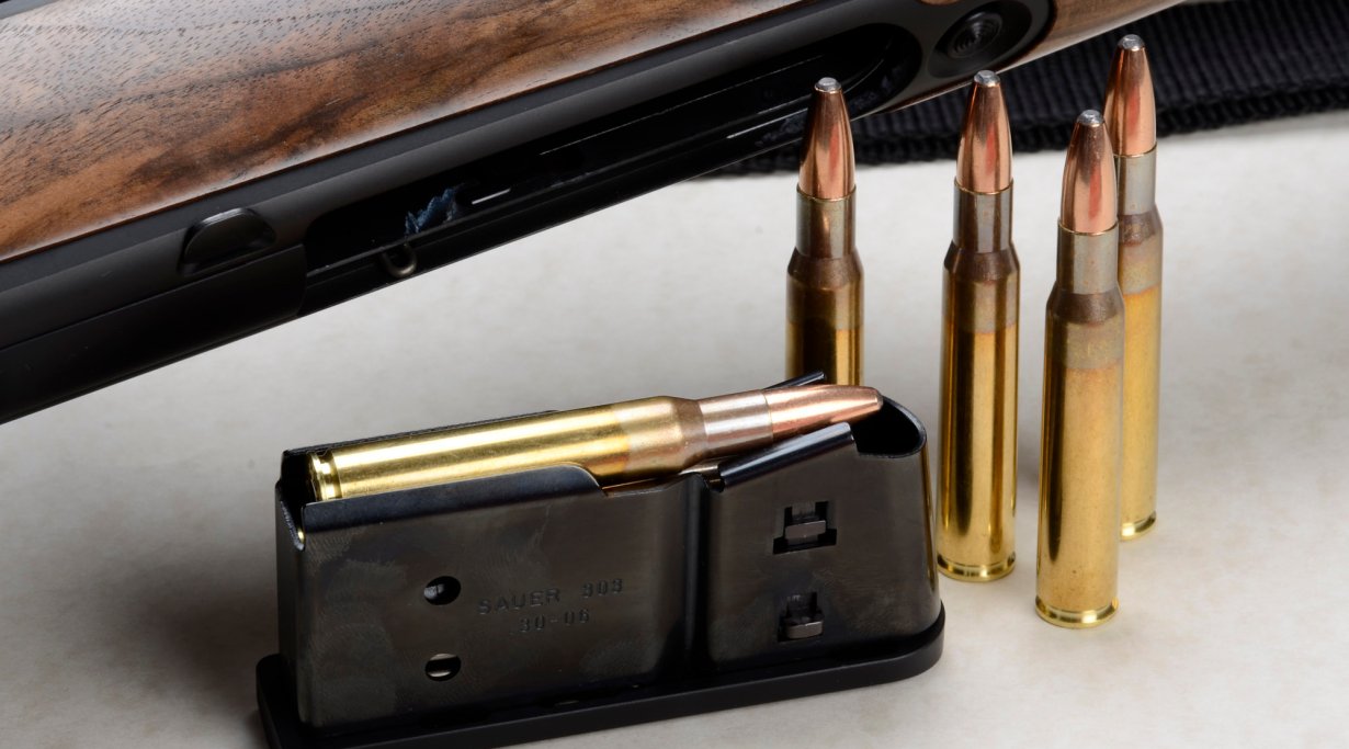 Sauer 303