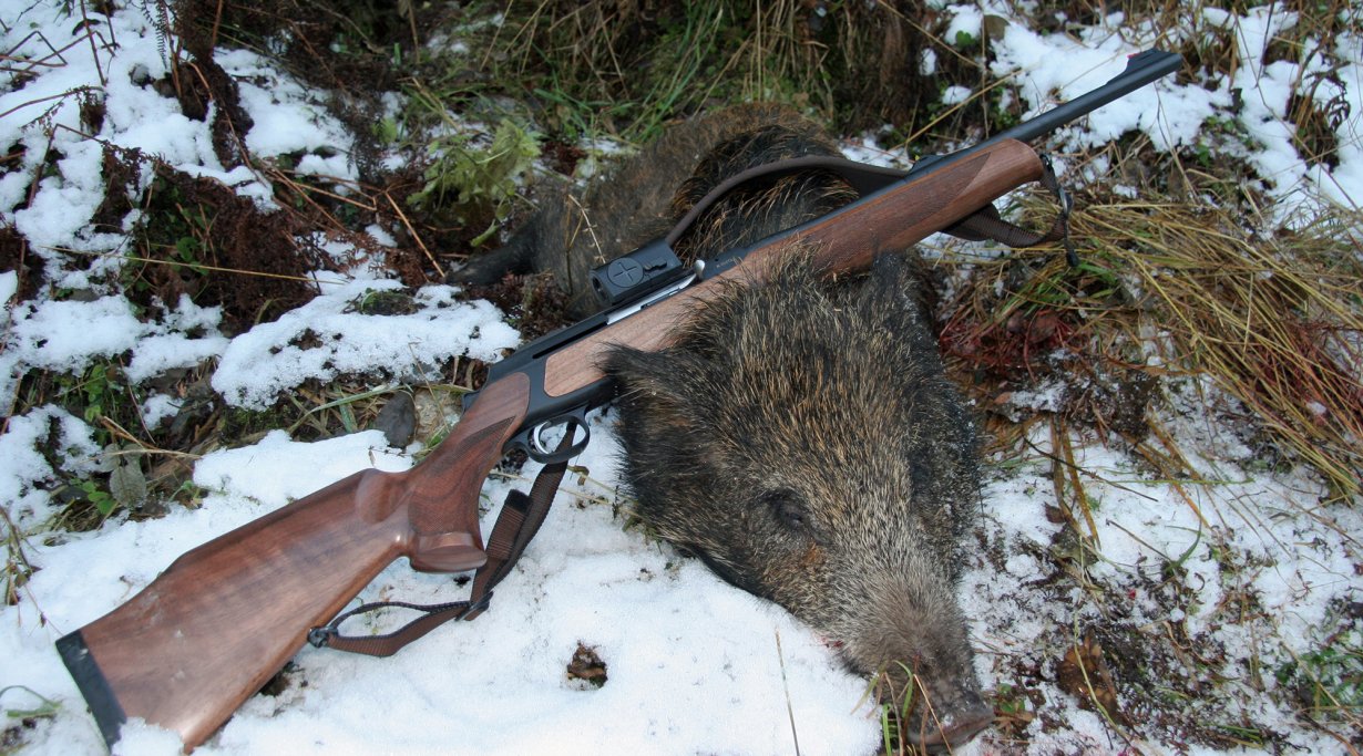 Sauer 303