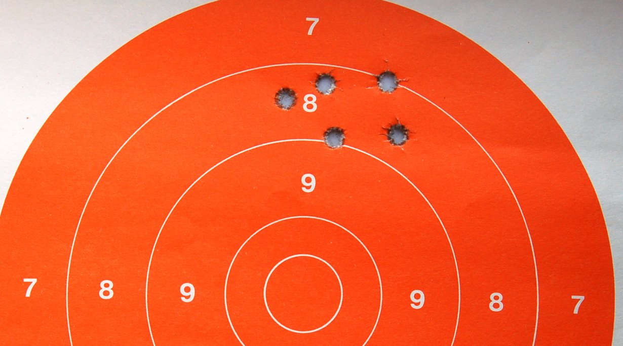 Sauer 303