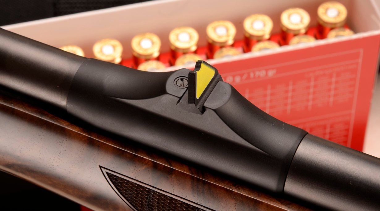 Sauer 303
