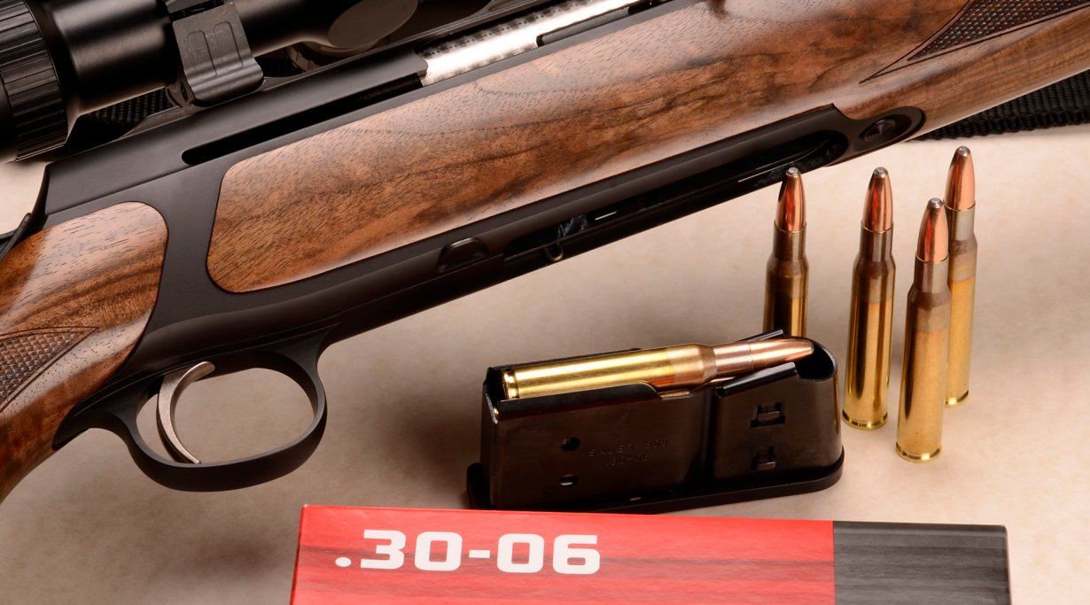 Sauer 303