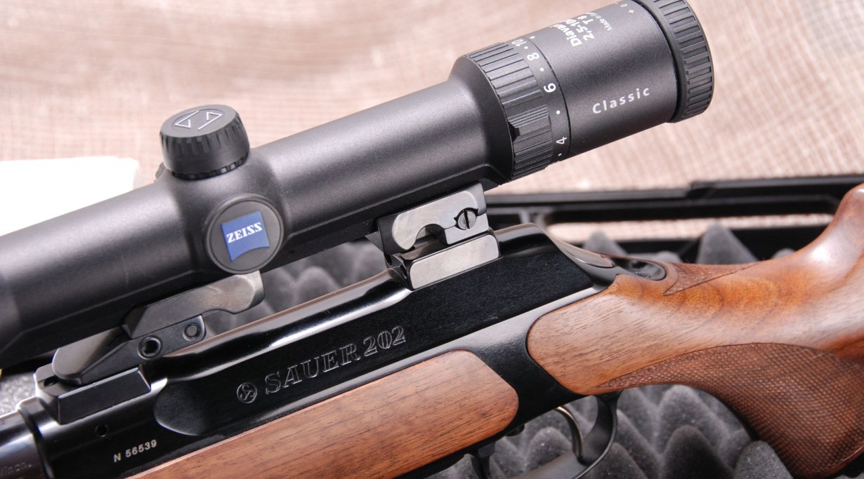 Sauer 202 e 303