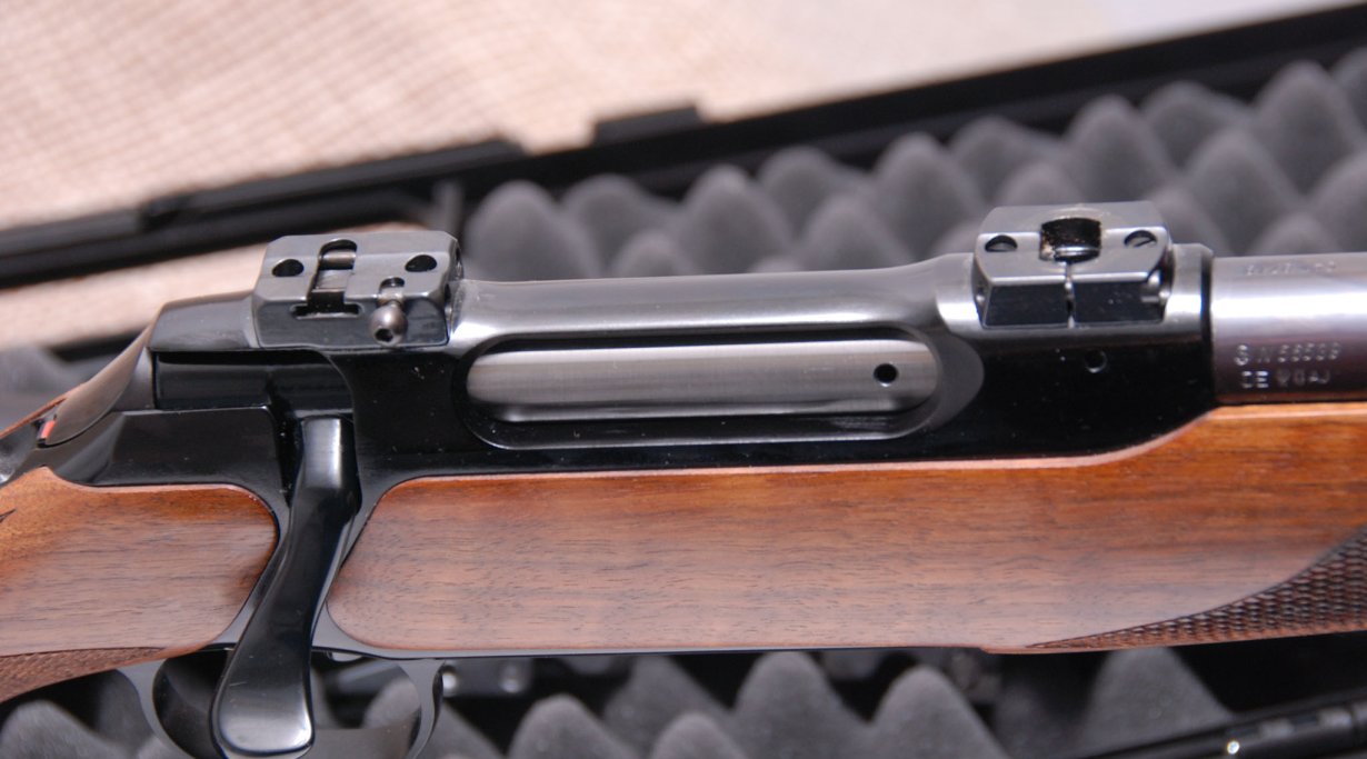 Sauer 202 e 303