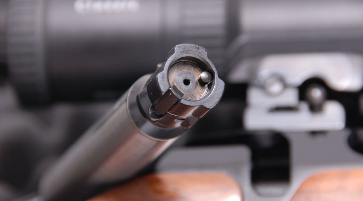 Sauer 202 e 303