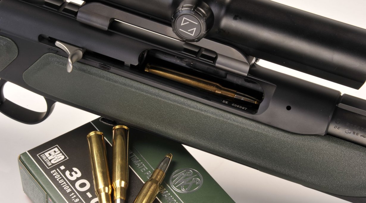 Sauer 202 e 303