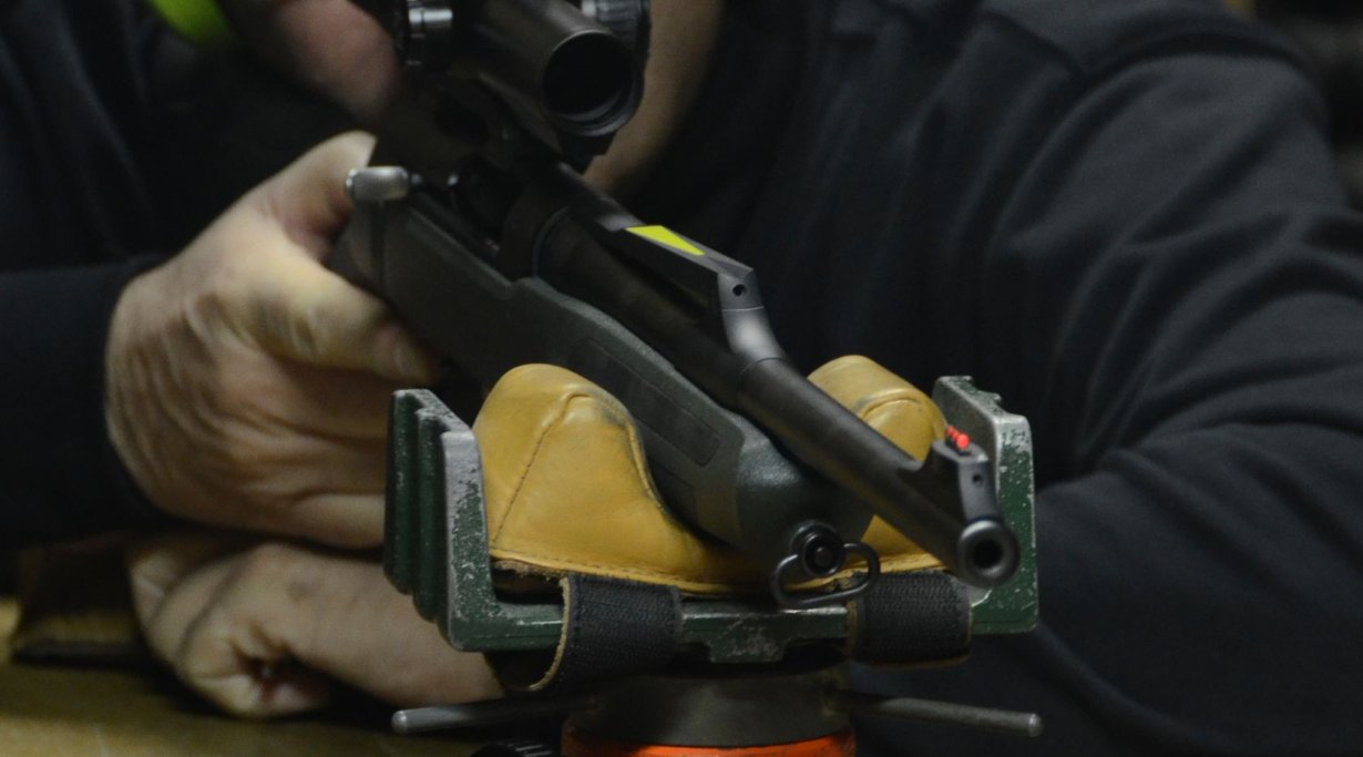 Sauer 202 e 303