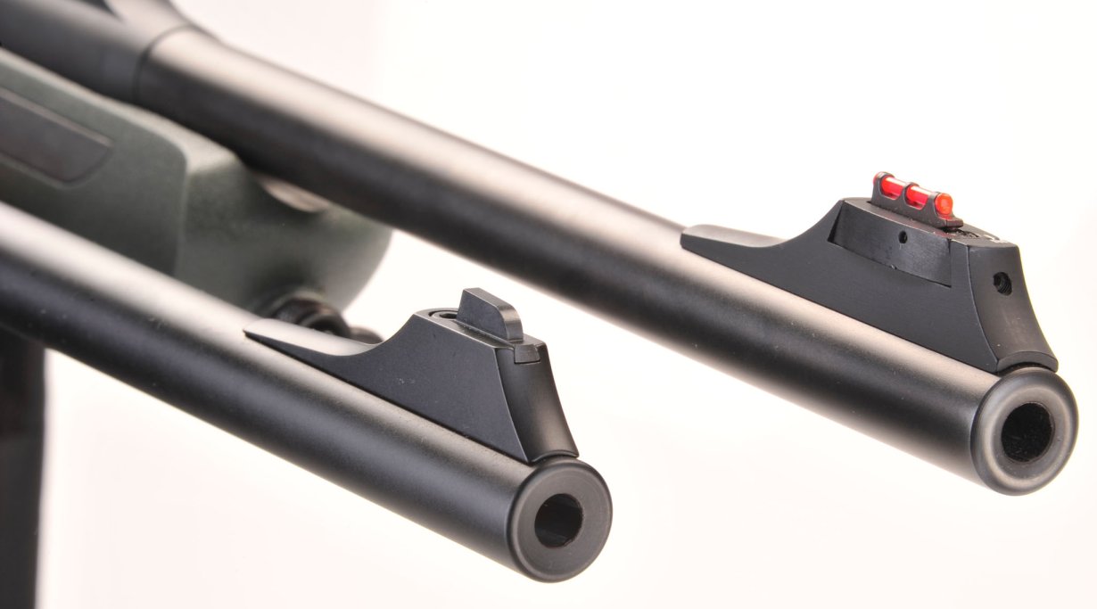 Sauer 202 e 303