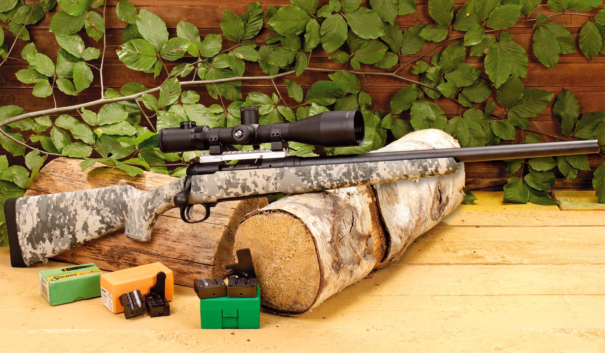 fucili: Savage Arms 10-PC