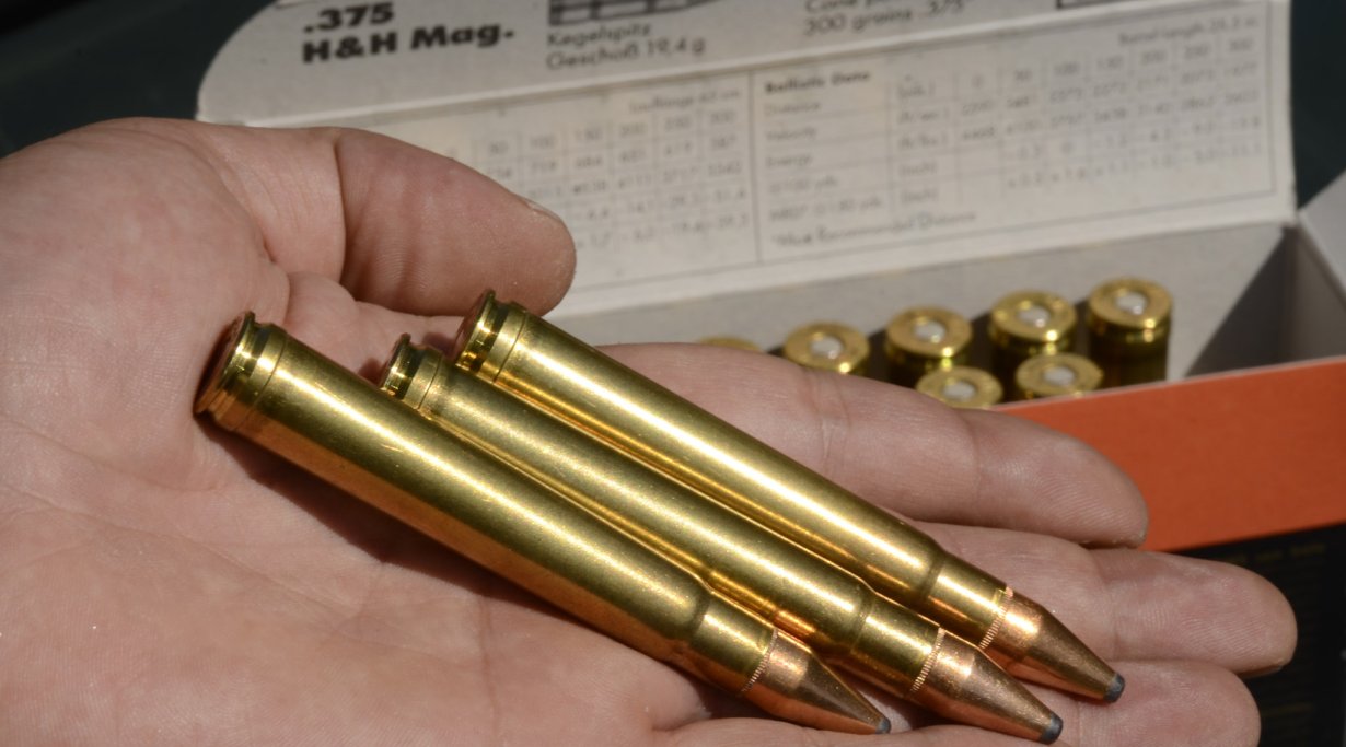 RWS ammunition in .375 H&H Mag
