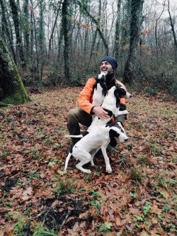 Segugi e cinghiali: addestramento dei cuccioli, le prime fasi Cacciatore con i suoi cani