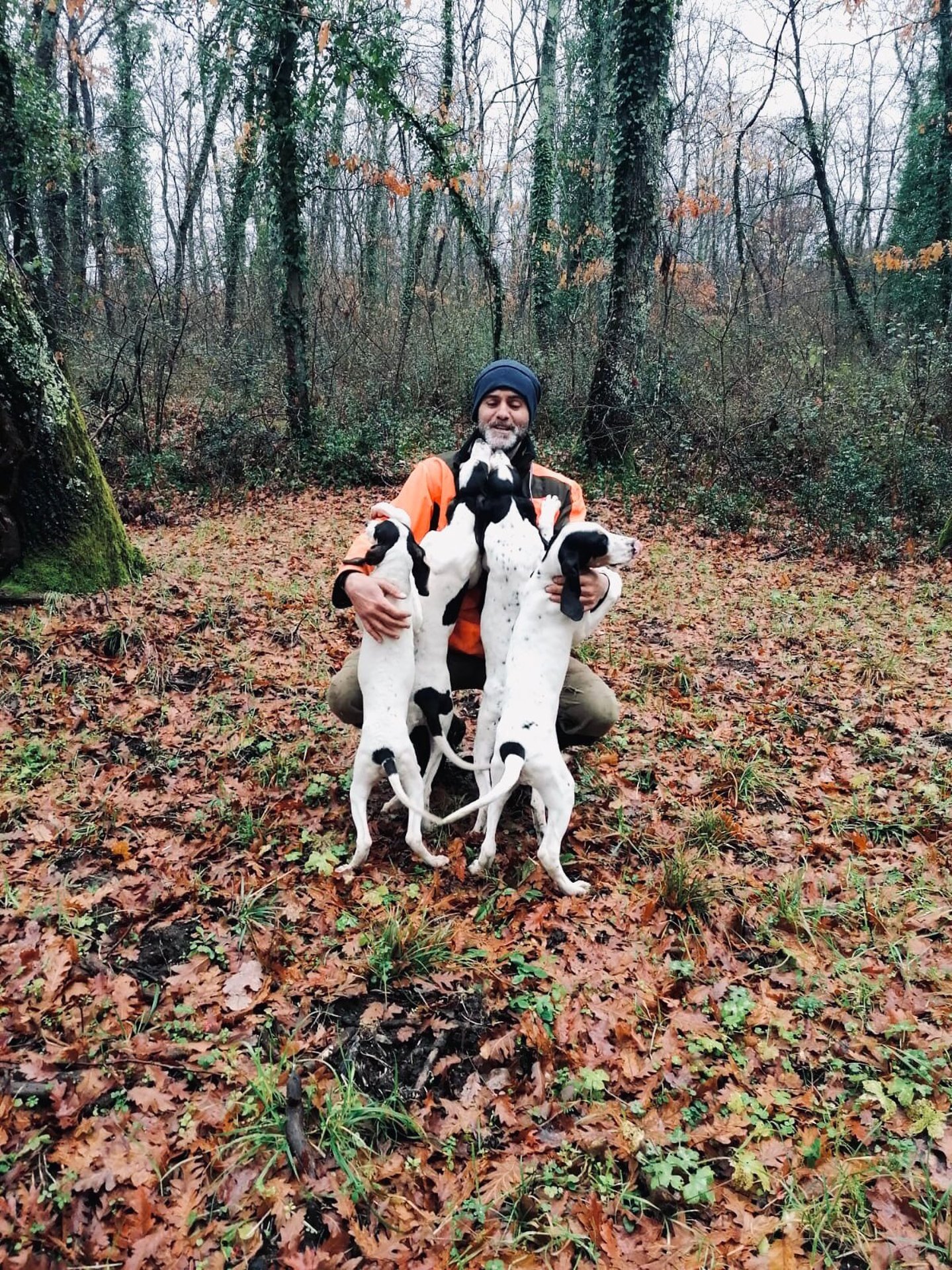 Segugi e cinghiali: addestramento dei cuccioli, le prime fasi Cacciatore con i suoi cani