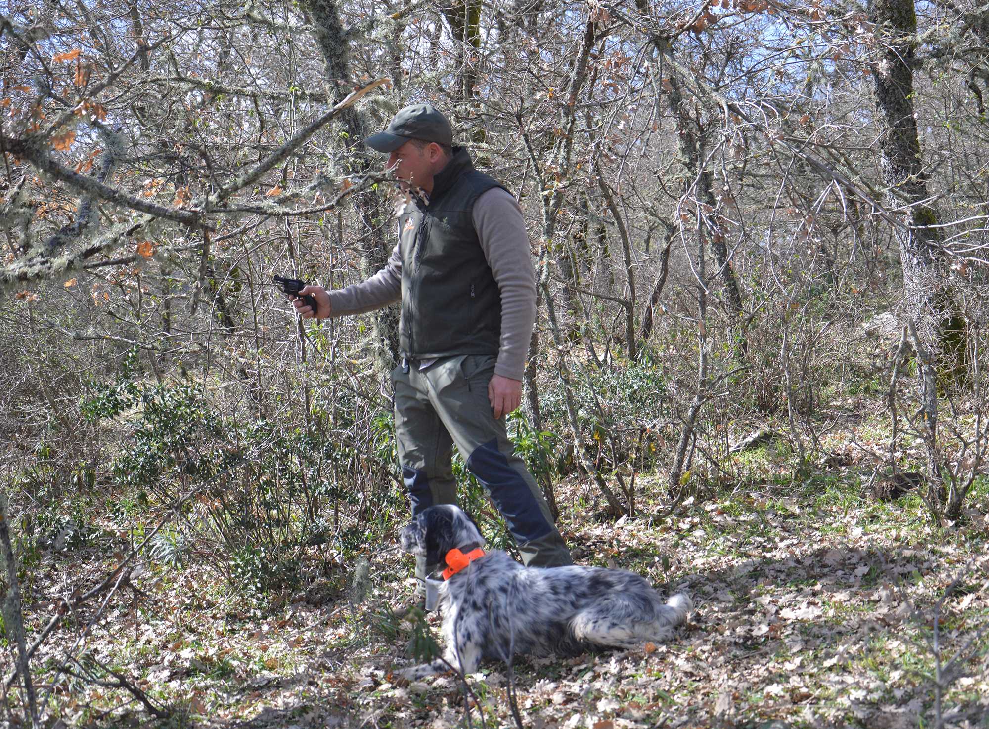addestramento-cani: Addestramento del cane da ferma: il primo approccio con il bosco