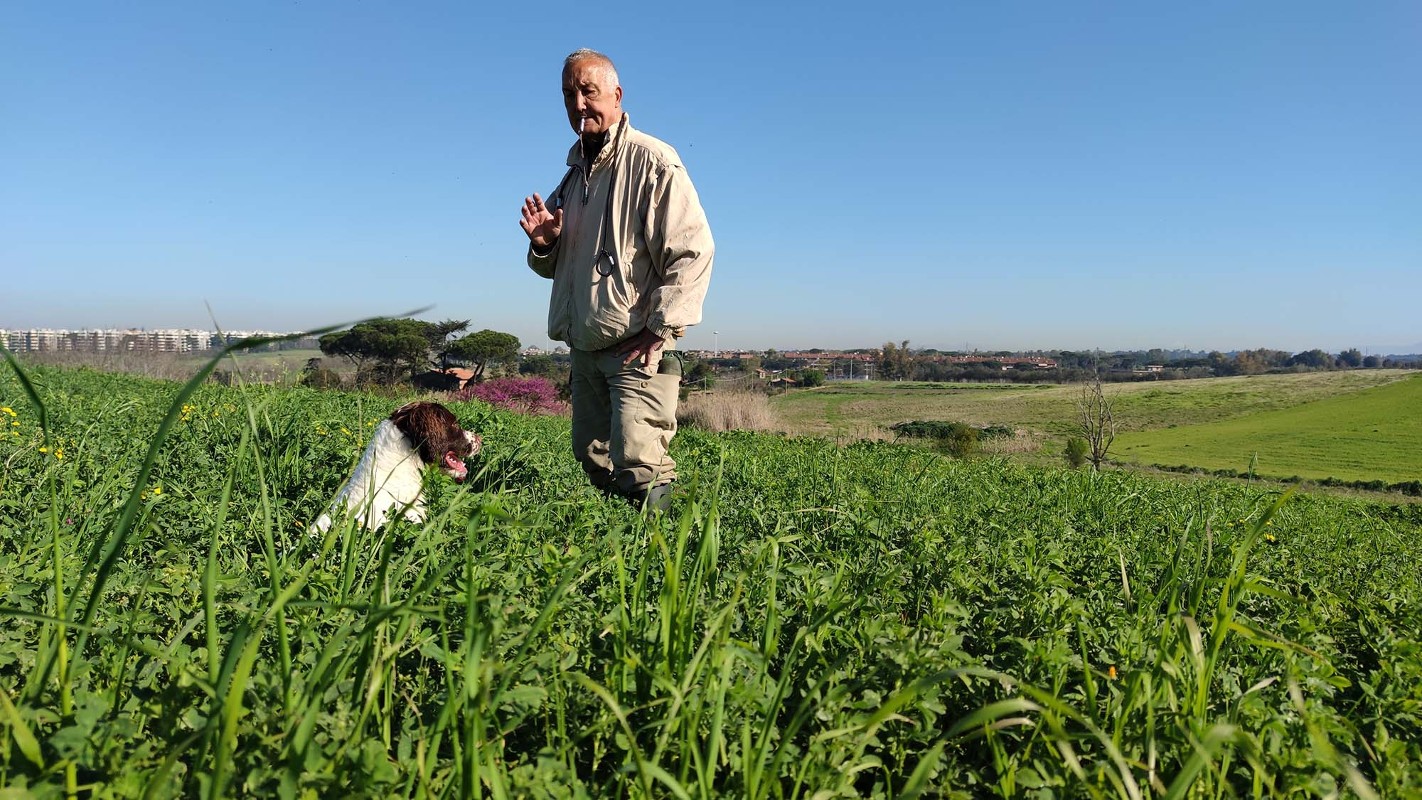 cinofilia: Alberto Dandolo, ritratto di un grande maestro di caccia, di cinofilia e di vita