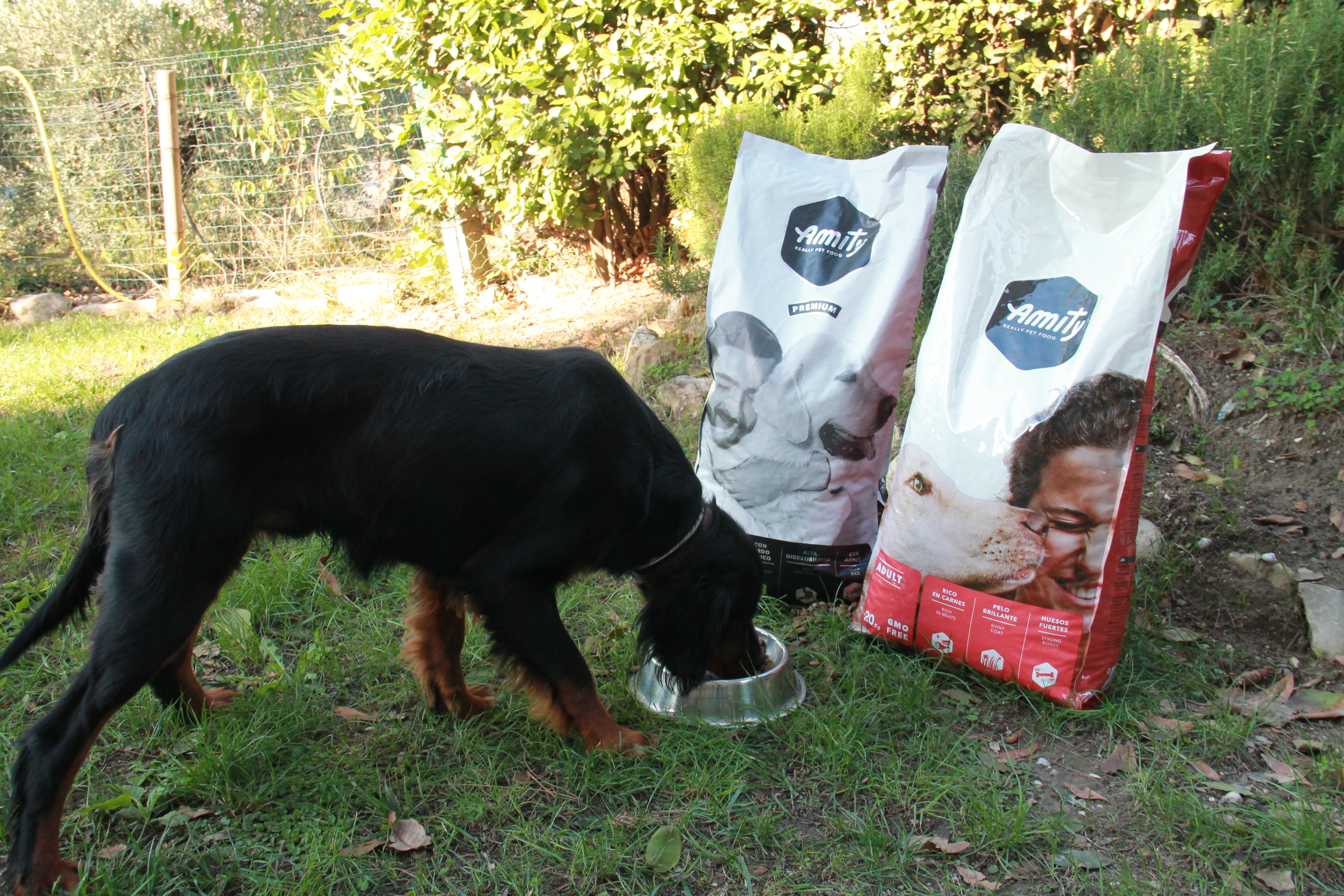 alinatur: Alinatur Pet Food: dalla Spagna con qualità; la selezione delle carni e l'estrusione da cui nascono i prodotti dedicati ai nostri cani alinatur: Alinatur Pet Food: dalla Spagna con qualità; la selezione delle carni e l'estrusione da cui nascono i prodotti dedicati ai nostri cani