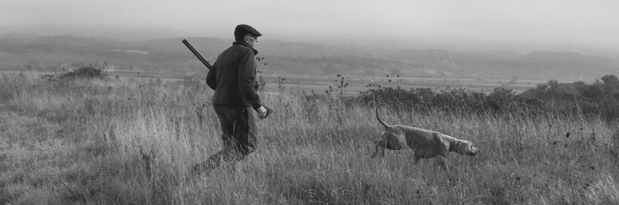 cinofilia: “Arte venatoria & Bracchi di Weimar”, l’iniziativa di Tuscania