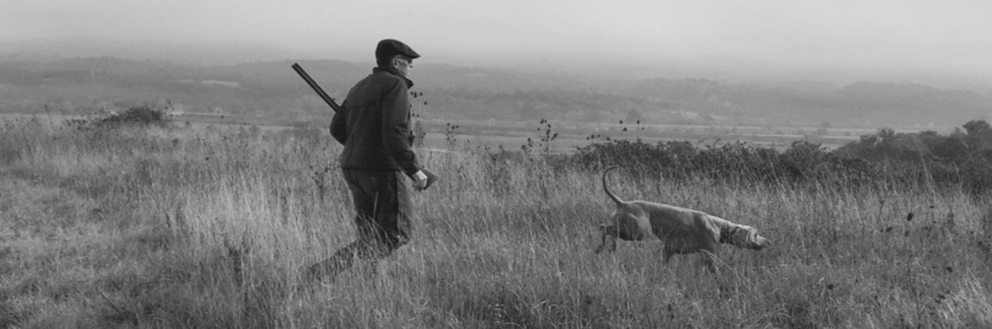 cacciatore con bracco di Weimar in bianco e nero
