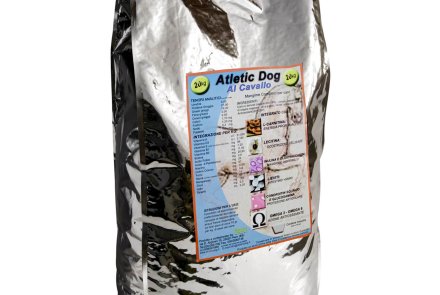 Atletic Dog Atletic Dog