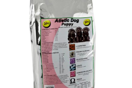 Atletic Dog Atletic Dog