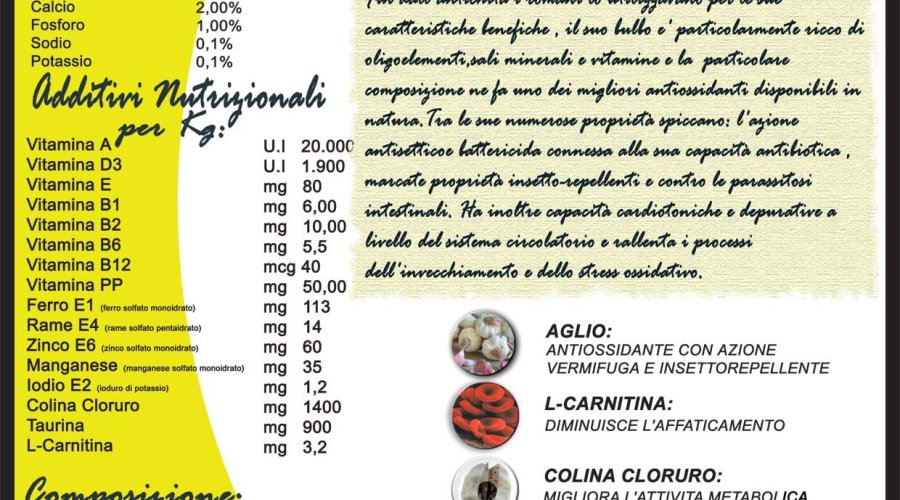 Atletic Dog Atletic Dog